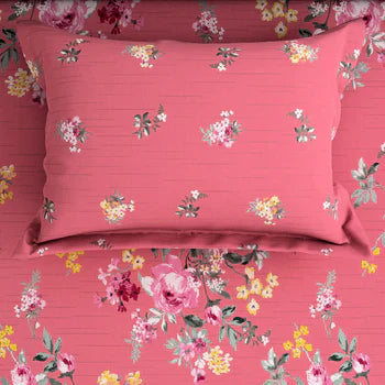 Premium Cotton Bed Sheet C-9